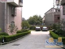 徐汇滨江电梯西边套,三阳台,高区景观房+俯瞰植物园