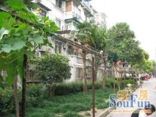 中原路990弄小区2室南朝向250.00万元/套出售