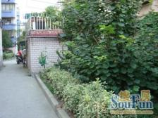 彭浦·阳曲路650弄·2室·1厅