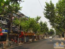 12号线隆昌路地铁口!中间楼层南北两房!不靠马路!