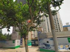 长隆小区1室东朝向149.00万元/套出售