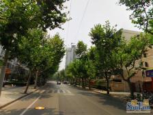 长隆小区2室南朝向310.00万元/套出售