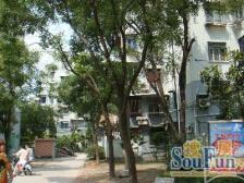 静安区+天井已搭+税费各付+美丽家园出行方便