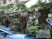 场中小区 2室0厅 南
