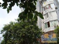 从业15年专注深耕星河湾成交不下60套买这儿找我准没错