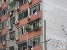 安龙大楼2室1厅南西北