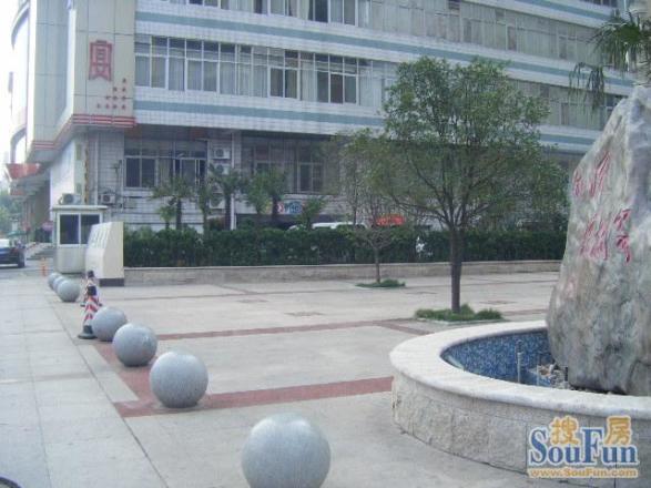 外滩棕榈泉