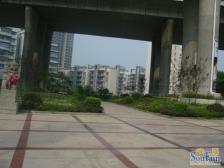 盛景郦城 3室2厅 东南