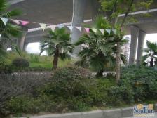 近大江轻轨站,配套成熟完善,精装三房拎包入住