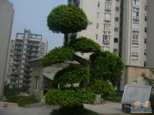 鱼洞 昌福盛景郦城二房40万
