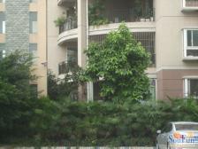 带大露台视野好使用面积大中叠出门及公园