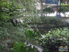 一碗水 文杰心海湾三房103万