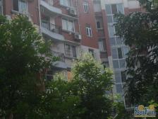 公园旁 轻轨房 电梯清水两室 边配套成熟 出入快捷