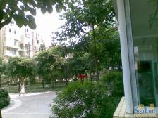 业主诚心卖 住家安静 视线采光好 户型方正