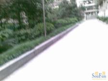 精装可拎包入住,正三房,视野好,,,