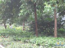 西区 依山庭院二房