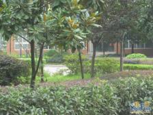 原装电梯精装三房 适宜住家 交通便利