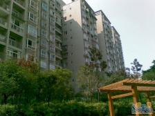 西区 依山庭院二房65万