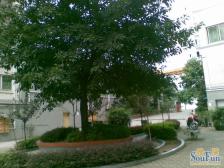 海德旭园B区 2室2厅 东南