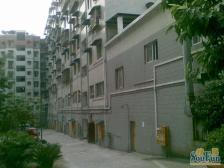 渝北 回兴 电梯精装两房 价格美丽