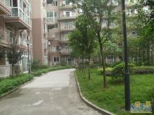 一碗水 高朋花园三房80万