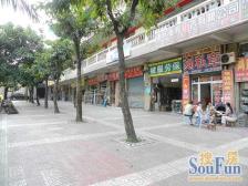 天中旁 商品房中间楼层 双轻轨西南医院 两站三峡广场