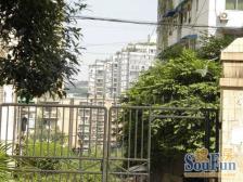 拎包入住三房双卫 通风效果好 户型好