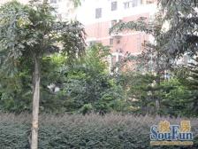 天星桥 华宇都市家园三房88万