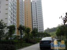 联芳花园4期 3室2厅 南 北