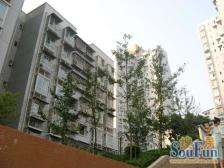 楼层好 户型方正 采光好 邻地铁和万达