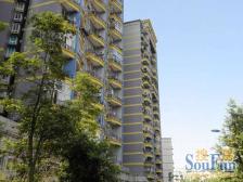 天星桥 龙寰世纪三房39万