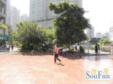 三峡广场 融信大厦四房