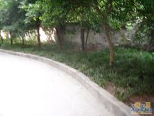 晨曦华苑 3室2厅 东南