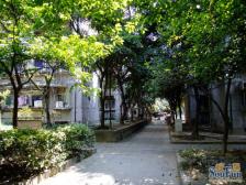 明佳园 2室2厅 东南