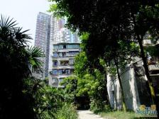 光电路 明佳园三房60万