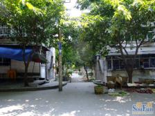 明佳园正规两房,业主楼上搭。建了棚的,可利用空间大