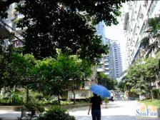 明佳园 背靠轻轨站 前门就是公交车站 配套齐全 急售
