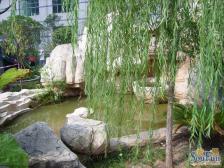 经开区 云天雅苑三房68万