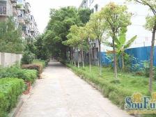 南京东路235号南大北区宿舍 南北通透,采光好 装修好,环镜优美 近地铁 视野好,诚心出售