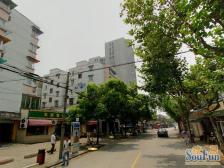 近黄浦江,一梯两户,小区清爽,楼道整洁,采光好