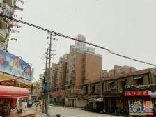 电梯房光线好高区双南两房大客厅