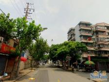 斜土路大木桥·平江大楼·1室·1厅