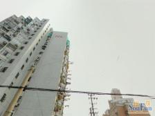 新上 正规电梯双南两房 看房方便 高区视野无遮挡!