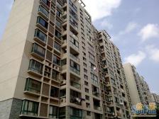 品质小区,环境优美,诚意出售,精装好房