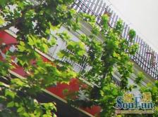 精装修户型优质卫全明理工诚意出售哦