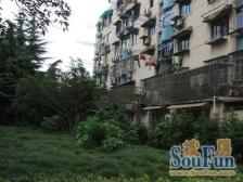 彭浦·临汾路1244弄·2室·1厅