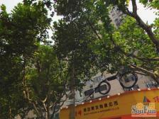 周家嘴路 · 引翔港小区 · 1室 · 1厅