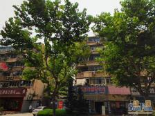 满五年税费少,视野好地铁5+23号线 户型正