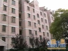 孙桥正街上 商圈配套齐全成熟顶楼复式