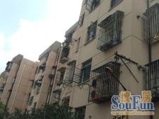 彭浦·临汾路1565弄·1室·1厅